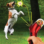 Catapulta lanza-premios juguete interactivo para perros