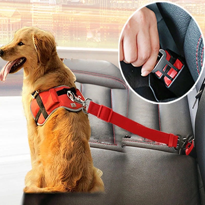 Cinturón de seguridad ajustable para perros y gatos en el coche