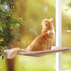 Hamaca de ventana para gatos con cuatro ventosas pegada al cristal